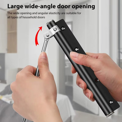 Door closer product view